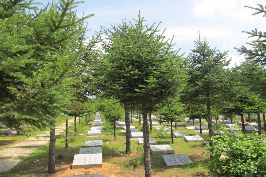 沈阳纪念林墓园 沈阳纪念林墓园