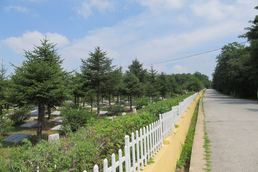 沈阳辉山纪念林