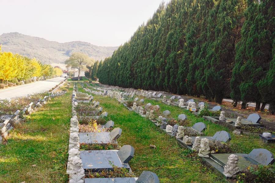 沈阳大河贝墓园 沈阳大河贝墓园