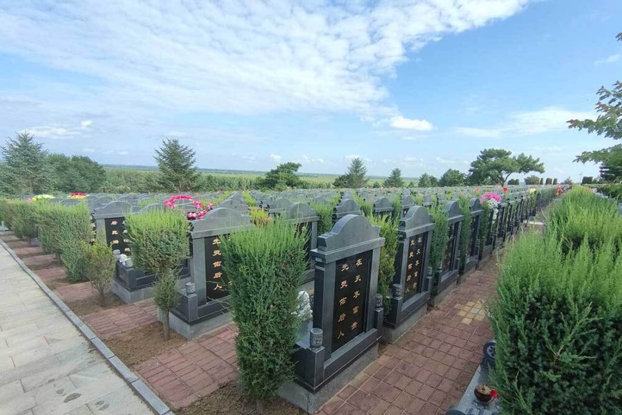 1786930330607342.jpg 8C946CA699254EC32223BAE9BDB86451_副本.jpg
