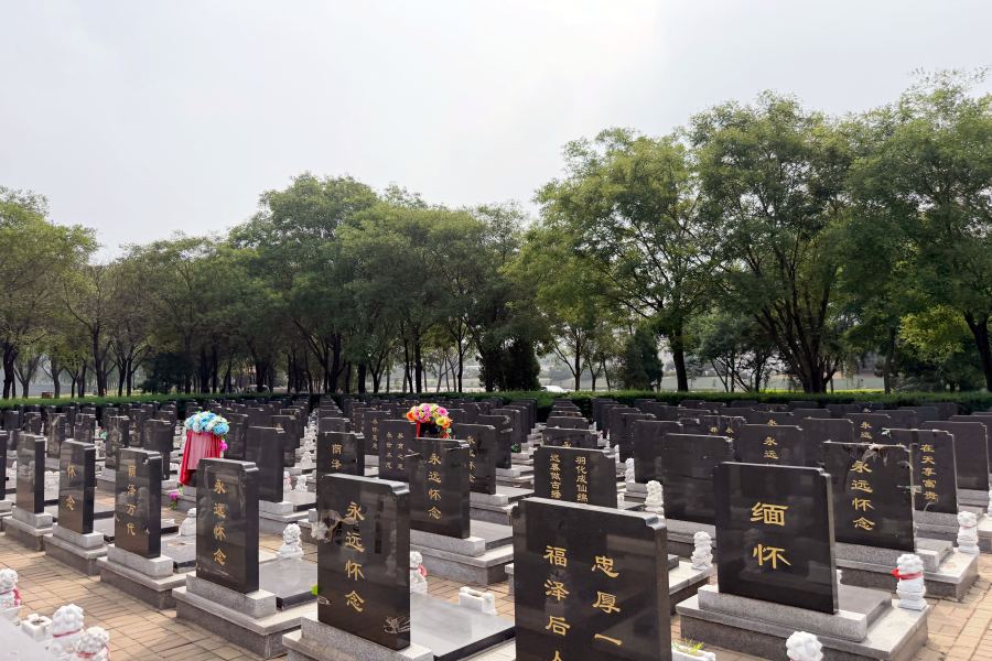 沈阳沈西墓园 沈阳沈西墓园
