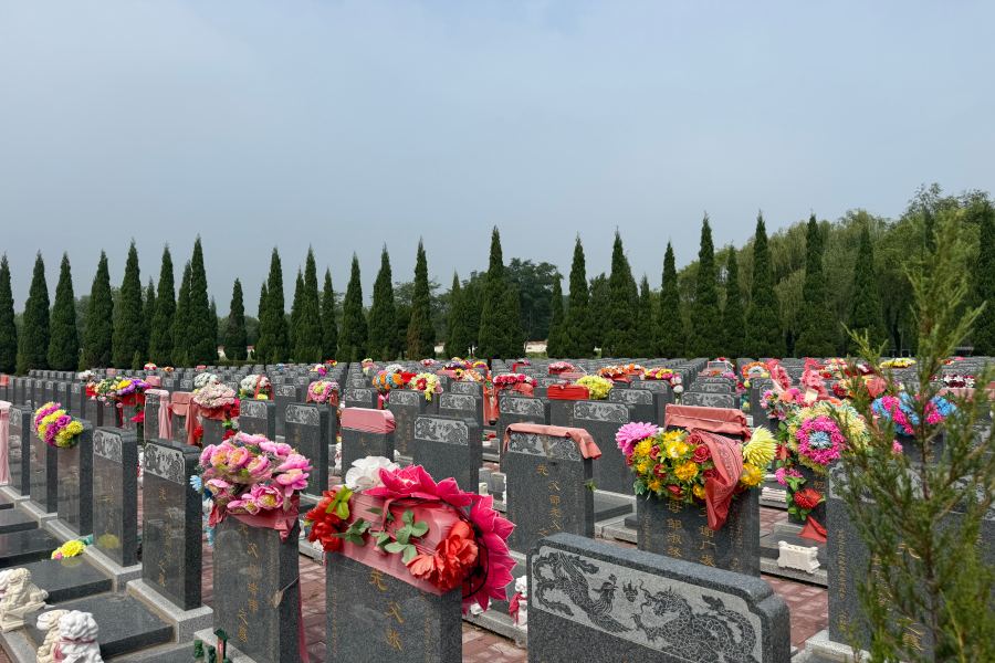 沈西墓园 沈西墓园