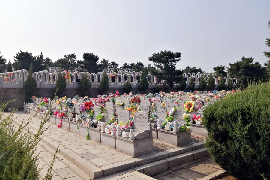 沈阳骏龙泉墓园 沈阳骏龙泉墓园