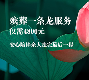 万古一条龙